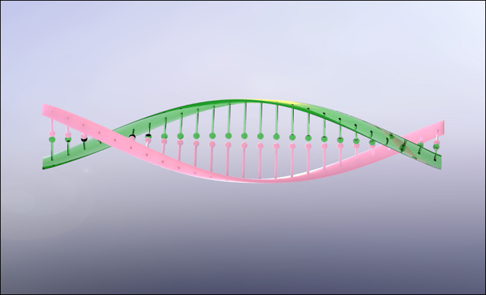 SolidWorks建模练习（53）：DNA结构