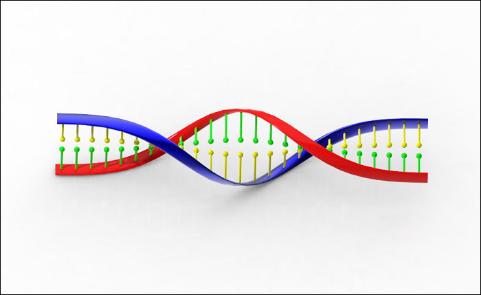 Creo三维建模（53）：DNA模型